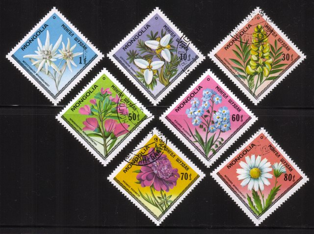 Flowers - Complete Set of 7 Different (Diamond Shaped) 