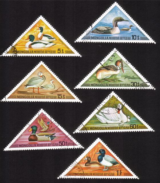 Aquatic Birds: Ducks, Geese, Swans, Etc. - Complete Set of 7 Different (Triangle Shaped)