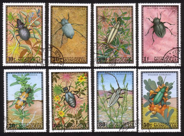 Insects, Bugs & Beetles: Complete Set of 8 Different
