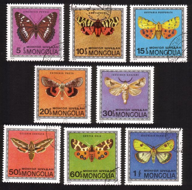 Butterflies: Complete Set of 8 Different
