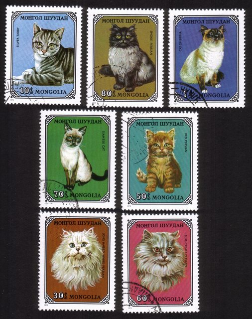 Domestic Cats: Persian, Siamese, Tabby, Etc. - Complete Set of 7 Different