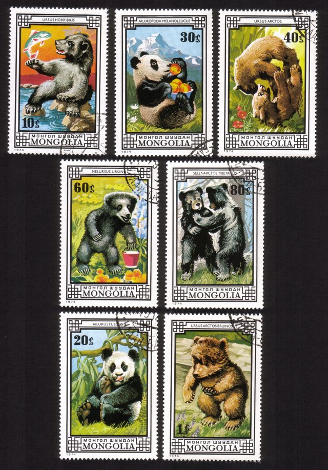 Bears: Pandas, Sloth, Brown Bears, Etc. - Complete Set of 7 Different