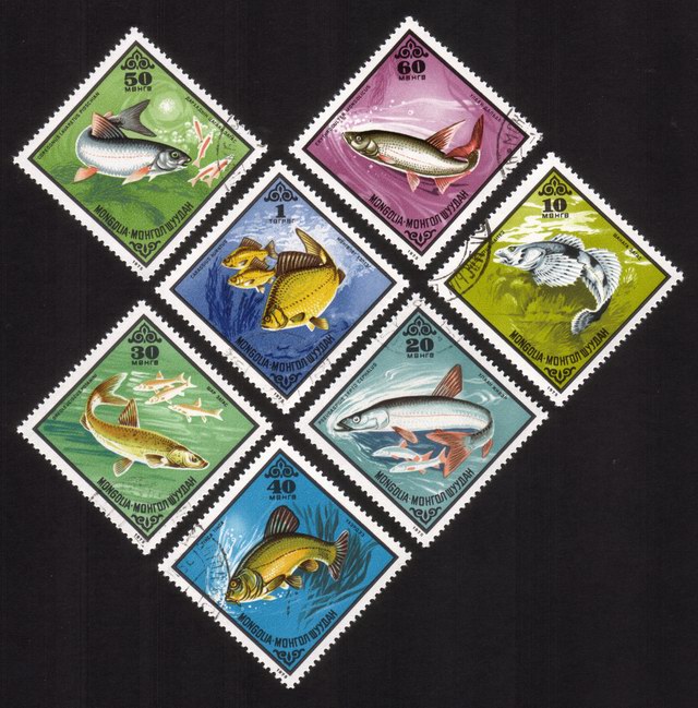 Various Fish: Complete Set of 7 Different (Diamond Shaped)