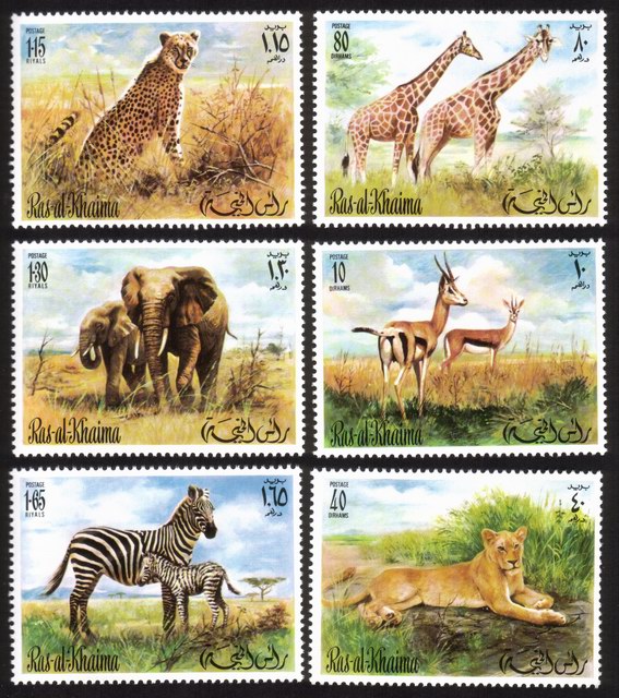 Wildlife: Zebras, Elephants, Leopard, Giraffes, Etc. - Complete Set of 6 Different
