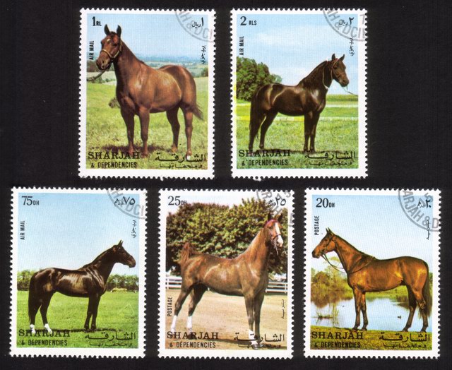 Horses: Complete Set of 5 Different