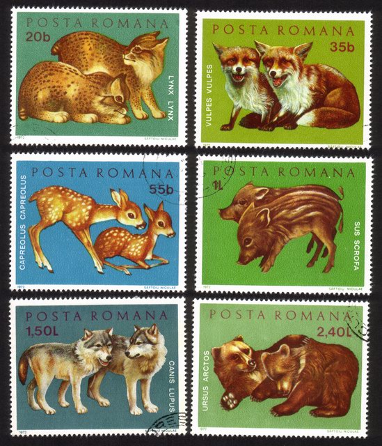 Young Animals: Lynx, Foxes, Roe Fawns, Wild Pigs, Wolves, Bears. Complete Set of 6 Different