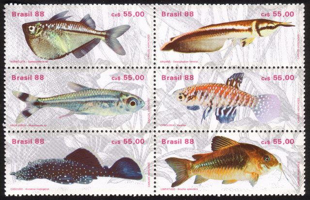 Various Fresh Water Fish - Complete Set of 6 Different (Block of 6)