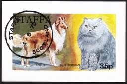 Cat & Dog: Collie Dog & Blue Persian Cat - Mini Souvenir Sheet