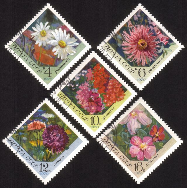 Flowers: Daisy, Dahlia, Phlox, Aster, Clementis - Complete Set of 5 Different (Diamond Shaped)