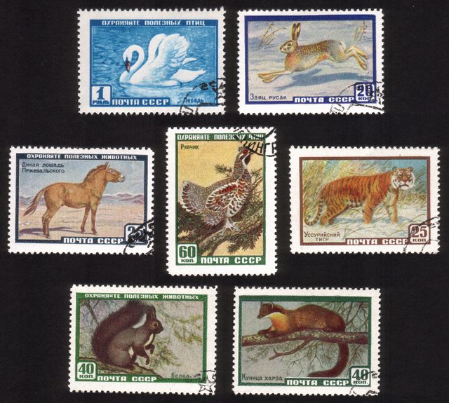 Wildlife: Hare, Siberian Horse, Tiger, Mute Swan, Hazel Hen, Etc. - Complete Set of 7 Different