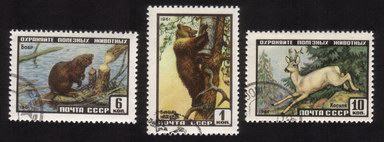 Animals: Brown Bear, Beaver, Roe Deer - Complete Set of 3 Different