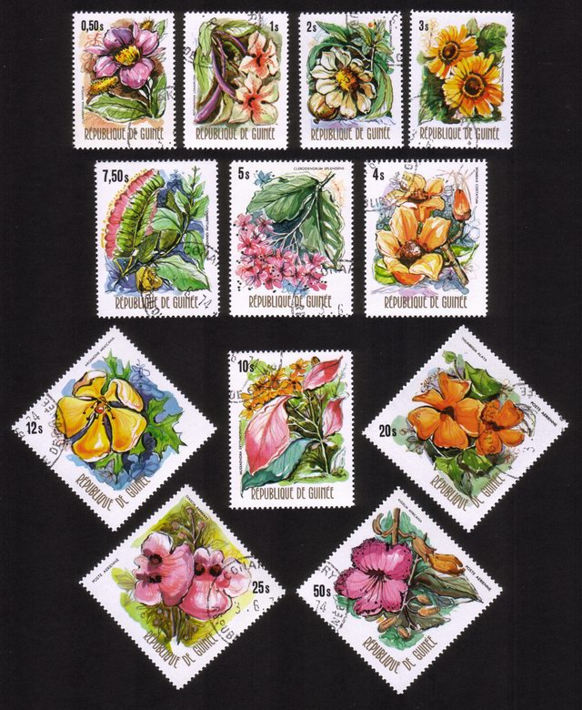 Various Flowers: Clappertonia Ficifolia, Kigelia Africana, Etc. - Complete Set of 12 Different