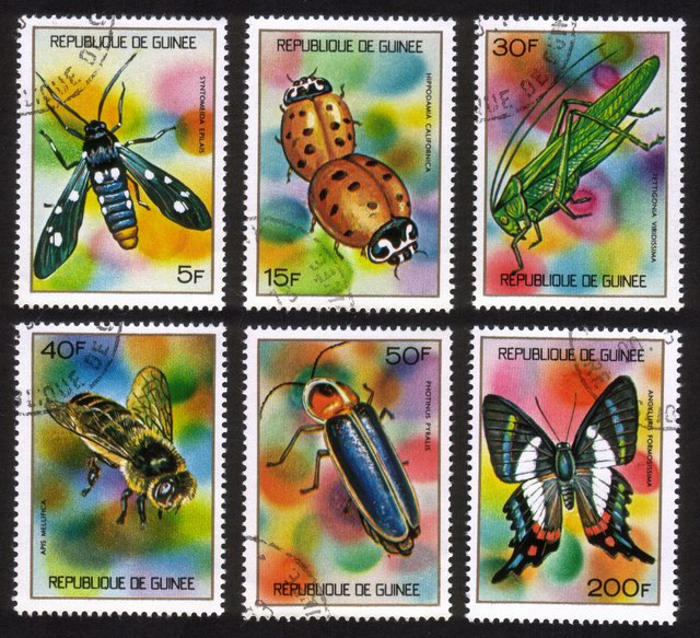 Various Insects: Ladybugs, Honey Bee, Locust, Etc. - Very Colorful Complete Set of 6 Different