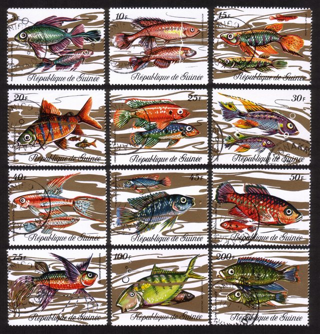 Various Fish: Phenacogrammus Interruptus, Tilapia, Etc. - Complete Set of 12 Different