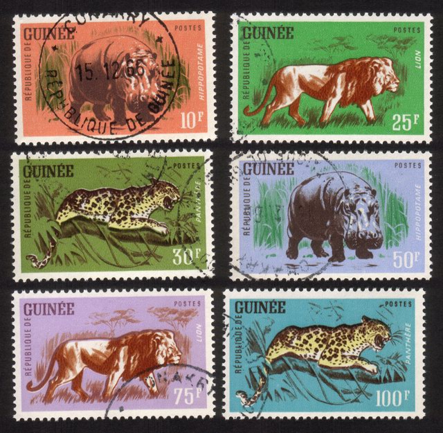 Animals: Hippopotamus, Lions, Leopards, Etc. - Complete Set of 6 Different