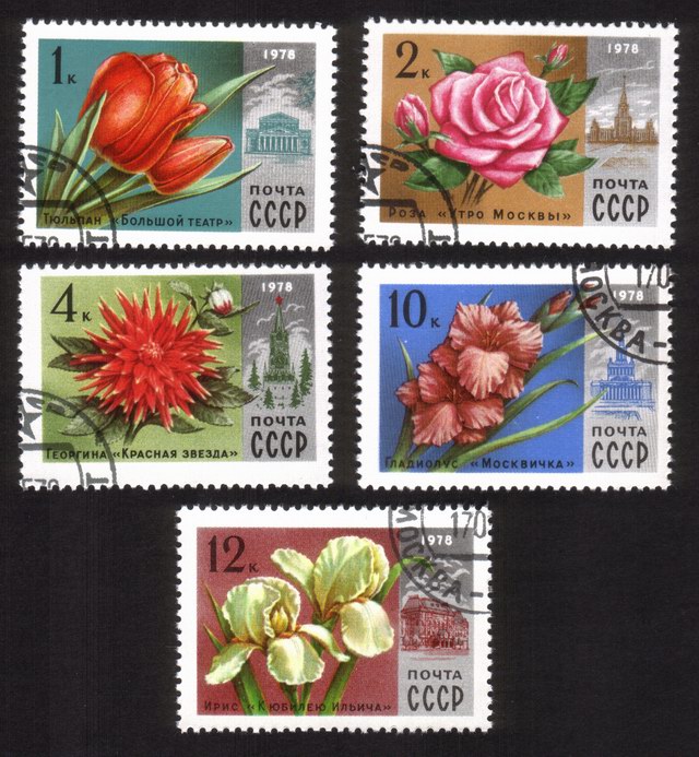 Moscow Flowers & Architecture: Rose, Gladiolus, Iris, Dahlia, Etc. - Complete Set of 5 Different
