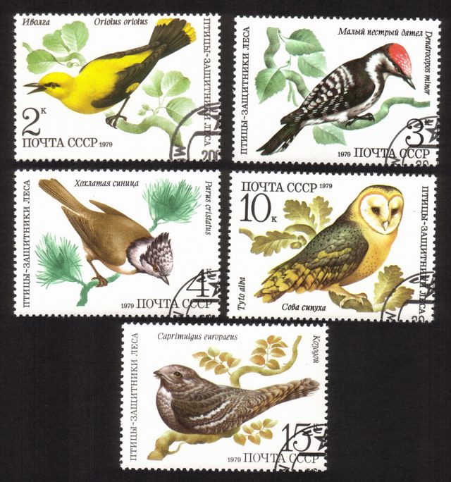 Birds: Barn Owl, Dendrocopus Minor, Parus Cristatus, Etc. - Complete Set of 5 Different