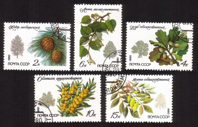 Plants & Trees: Siberian Pine, Oak, Lime Tree, Sea Bucthorn, Etc. - Complete Set of 5 Different