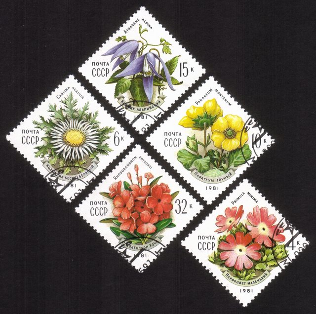 Flowers of The Carpathian Mountains: Thistle, Etc. Complete Set of 5 Different (Diamond Shaped)