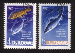 Fish Preservation in The USSR (1962): Freshwater Salmon, Carp, Bream - Complete Set of 2 Different