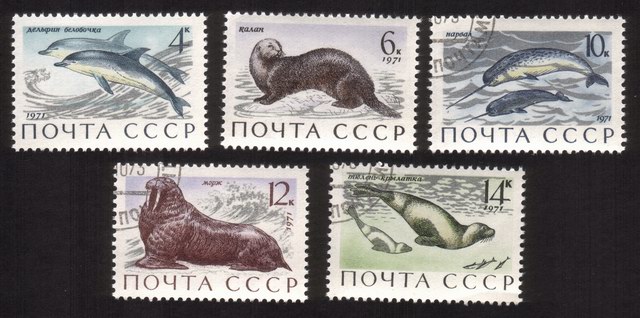Sea Mammals: Dolphins, Sea Otters, Narwhals, Walrus, Etc. - Complete Set of 5 Different