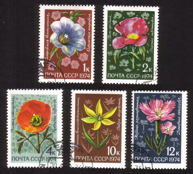 Flora of The USSR (1974): Morning Glory, Tulip, Poppy, Etc. - Complete Set of 5 Different