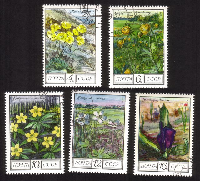 Regional Flowers: Polar Poppies, Globeflowers, Buttercups, Etc. - Complete Set of 5 Different
