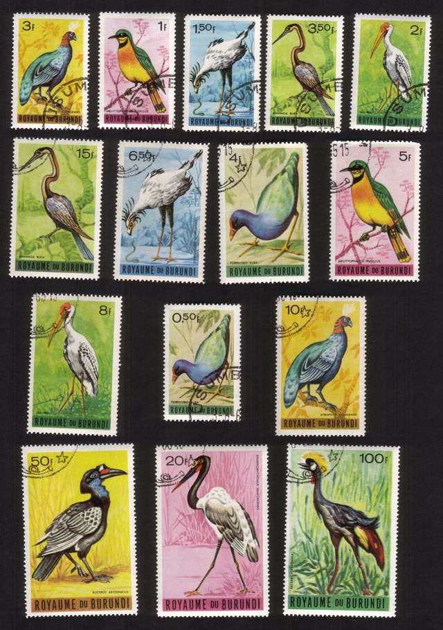 Birds: African Purple Gallinule, Yellow-Billed Stork, Etc. - Complete Set of 15 Different