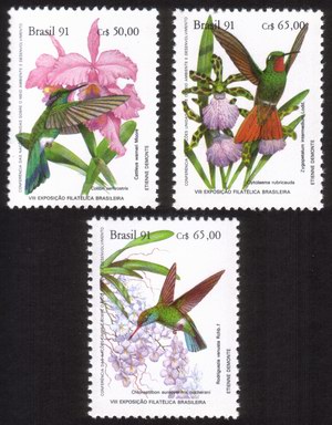 Orchids & Hummingbirds: Colibri Serrirostris, Cattleya Warneri, Etc Complete Set of 3 Different