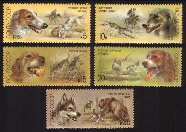 Hunting Dogs: Russian Borzoi, Fox Hunt, Kirghiz Greyhound, Etc. - Complete Set of 5 Different
