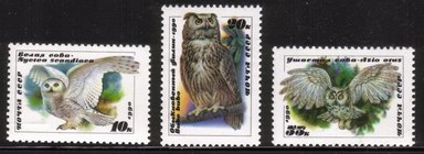 Owls: Nyctea Scandiaca, Bubo Bubo, Asio Otus - Complete Set of 3 Different