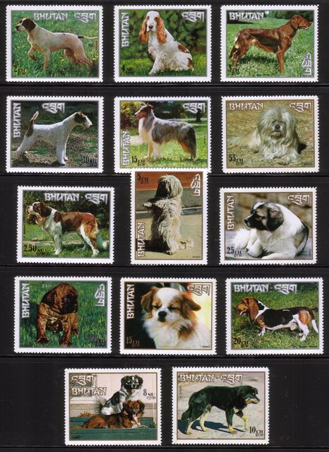 Dogs: Pointer, Irish Setter, Lhasa Apso, Dochi, Damci, Boxer, Etc. - Complete Set of 14 Different