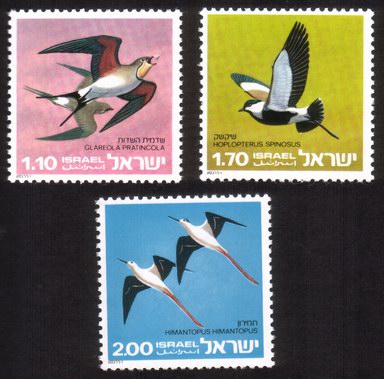 Protected Birds: Black-Winged Stilts, Collared Pratincoles, Etc. - Complete Set of 3
