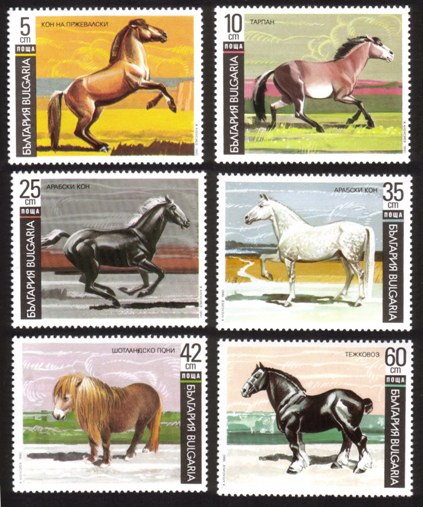 Horses: Tarpan, Arabian, Shetland Pony, Draft Horse, Etc. - Complete Set of 6 Different