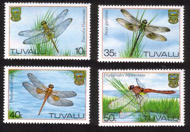 Dragonflies: Pantala Flavescens, Anax Guttatus, Etc. - Complete Set of 4 Different
