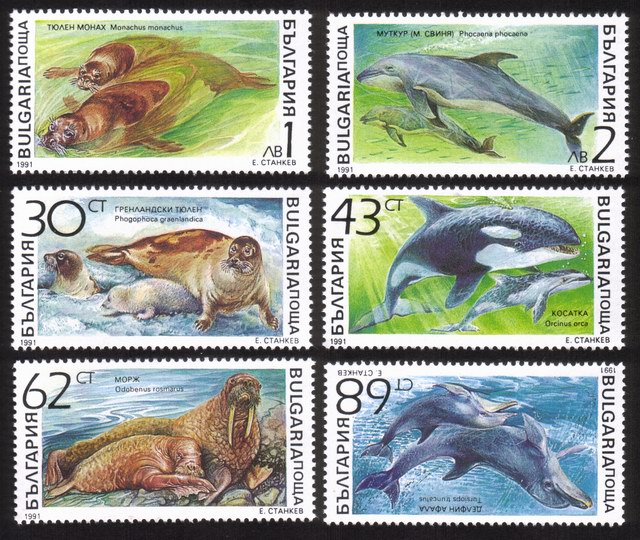 Marine Mammals: Monk Seal, Walrus, Porpoise, Whales, Etc. - Complete Set of 6 Different
