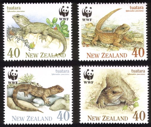 Tuatara Reptiles - Complete Set of 4 Different