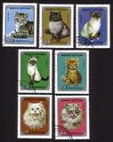 Domestic Cats: Persian, Siamese, Tabby, Etc. - Complete Set of 7 Different