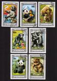 Bears: Pandas, Sloth, Brown Bears, Etc. - Complete Set of 7 Different