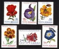Flowers: Morning Glory, Leaf Cactus, Pomegranate, Lily, Etc. Complete Set of 6 Different
