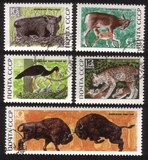 Forest Wildlife: Black Stork, Wild Pig & Piglets, Etc. - Complete Set of 5 Different