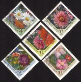 Flowers: Daisy, Dahlia, Phlox, Aster, Clementis - Complete Set of 5 Different (Diamond Shaped)