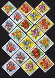 Orchids: Miltonia, Platycornye Crocea, Etc. - Complete Set of 18 Different (Diamond Shaped)