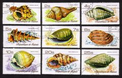 Sea Shells: Hexaplex Hoplites, Perrona Lineata, Harpa Doris, Etc. - Complete Set of 9 Different