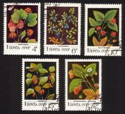 Fruits & Berries: Blueberry Bush, Cranberries, Cherries, Etc. - Complete Set of 5 Different