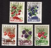 Wild Berries: European Cranberries, Mountain Ash, Huckleberries, Etc. - Complete Set of 5 Different
