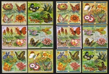 Flowers & Butterflies: Protea Cynaroides, Precis Octavia, Etc. - Complete Set of 48 Different