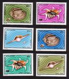 Shells: Volva Volva, Lambis Chiragra, Harpa Major, Etc. - Complete Set of 6 Different