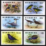 Birds: Royal Tern, Killdeer, Cowbird, Gallinule, Euphonia, Etc. - Complete Set of 6 Different